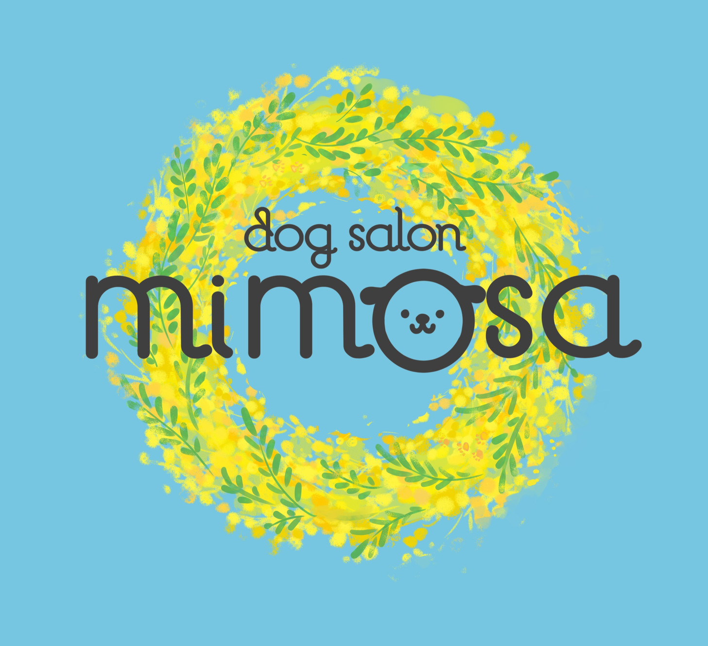 dogsalon mimosa