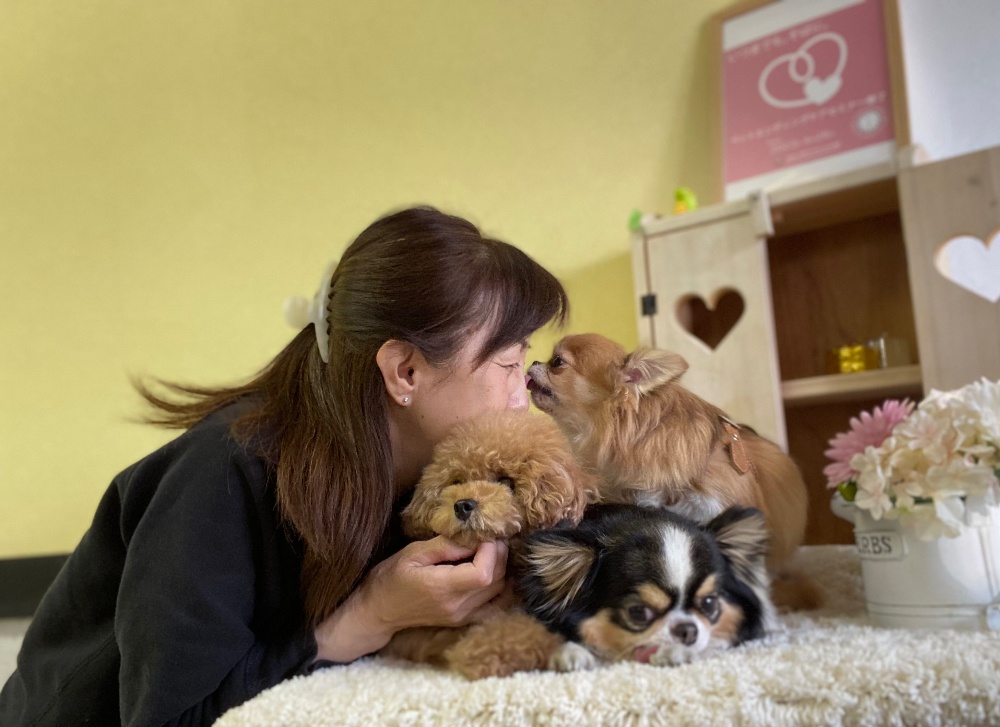 dog salon tishmo(ホテル＆サロン)