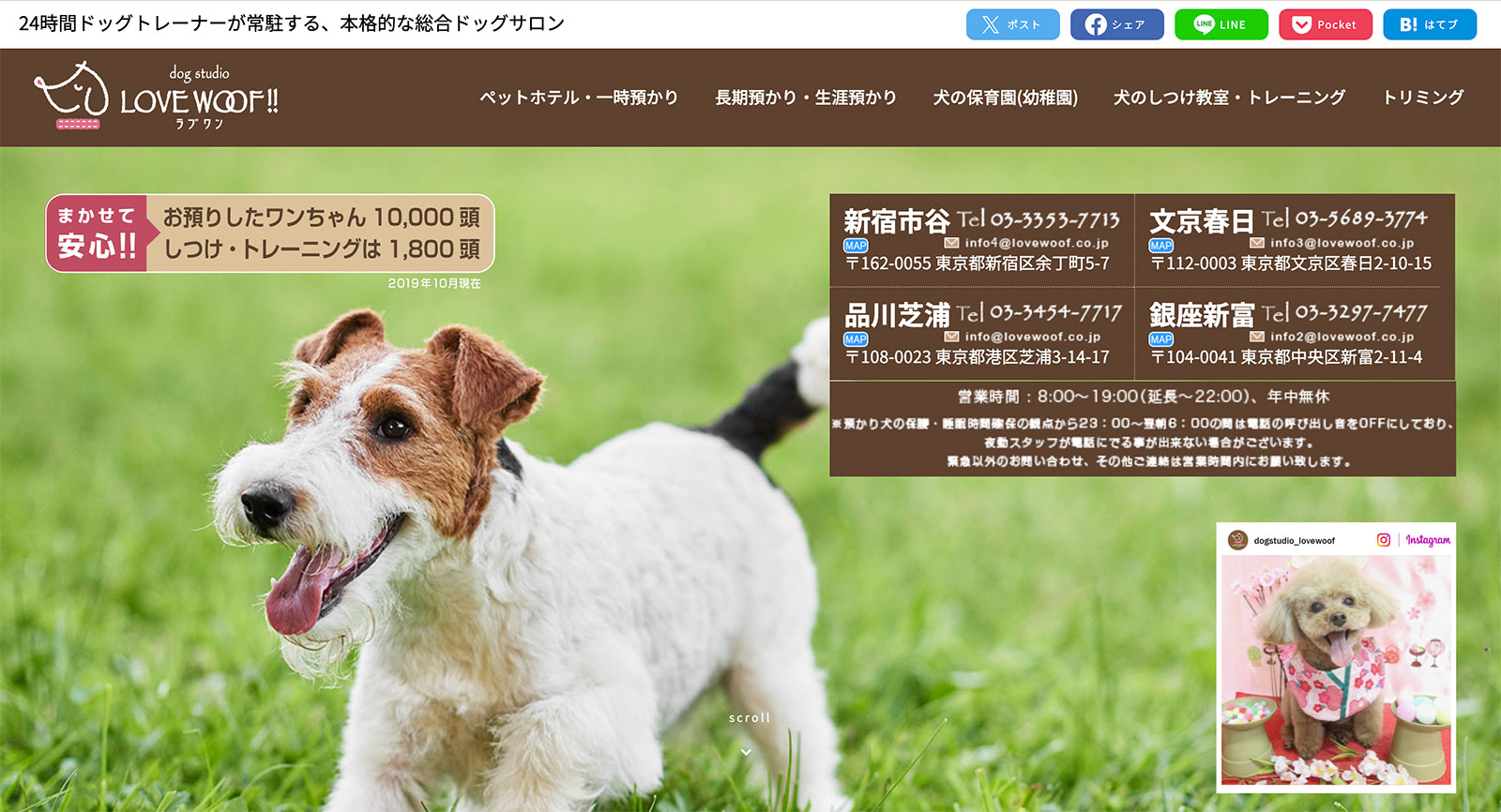 dog studio LOVE WOOF!! 文京春日