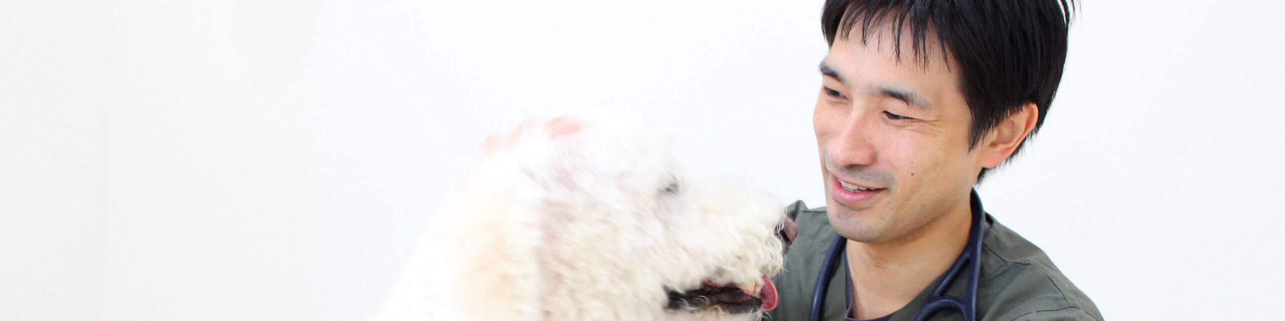 みぎわ動物病院