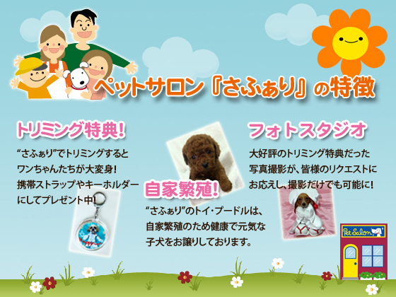 ペットサロン さふぁり