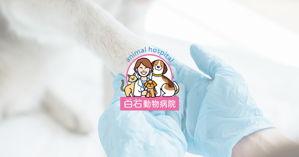 白石動物病院