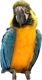 長岡京動物病院