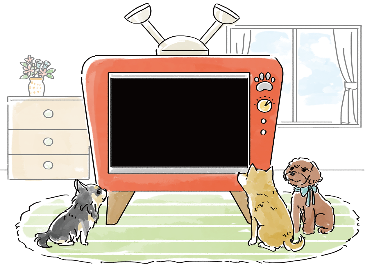 ペットショップ　チワワン