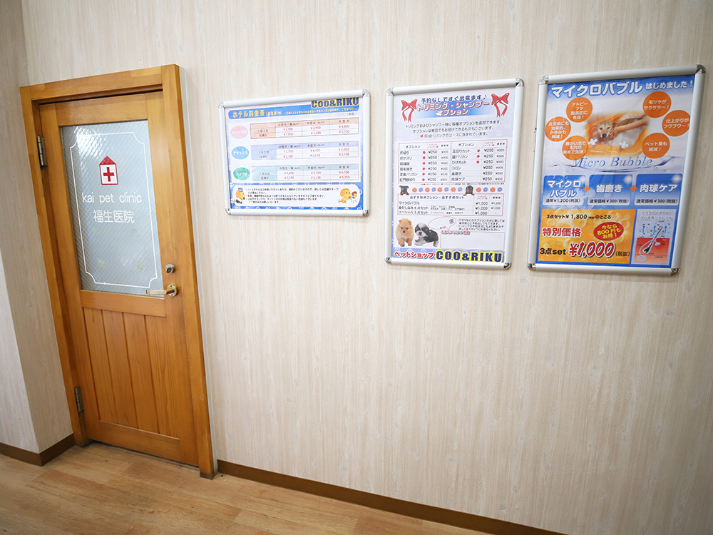 海動物病院　福生往診所