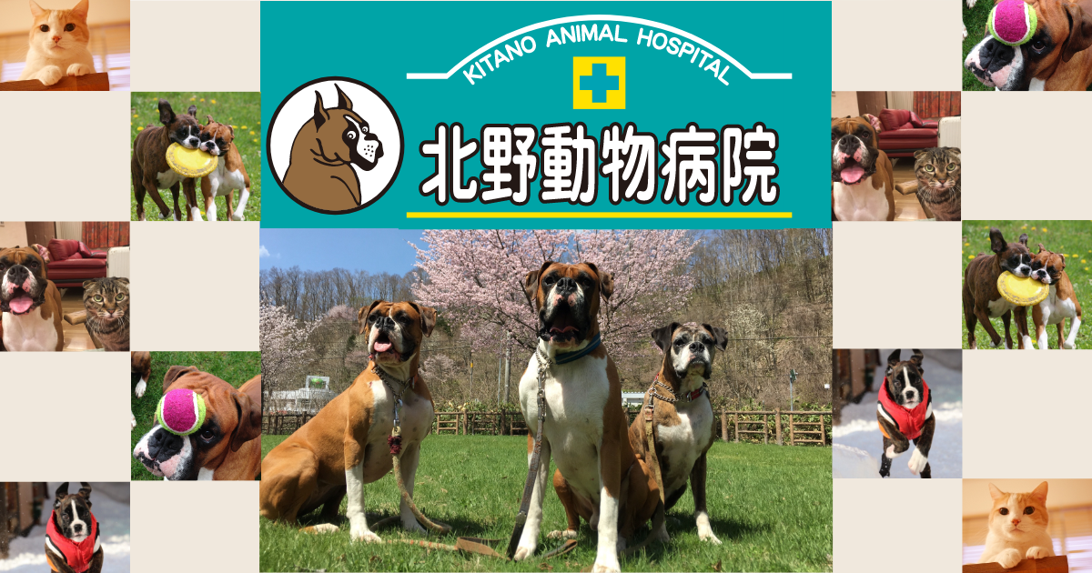 北野動物病院