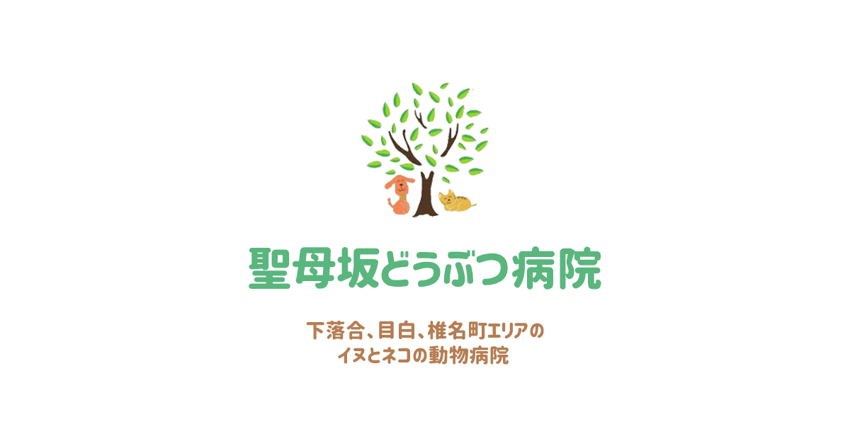 聖母坂どうぶつ病院