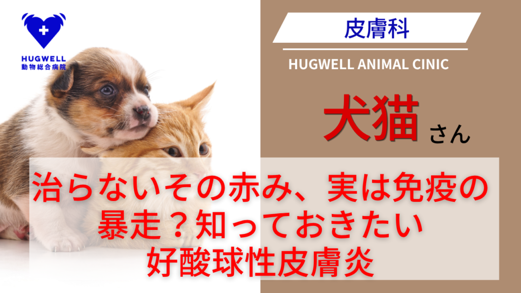 ハグウェル動物総合病院 横浜鶴ヶ峰院