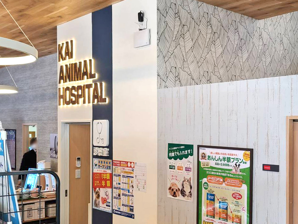 海動物病院　富士往診所