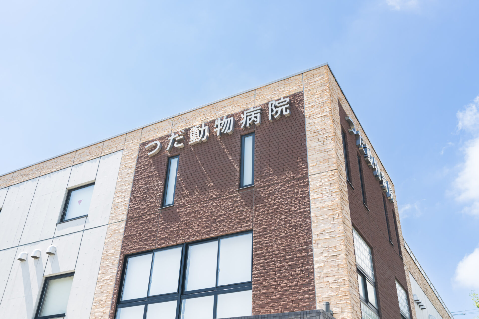 つだ動物病院