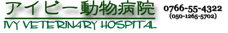 アイビー動物病院