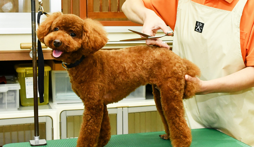 ほっと・ふぃーるど