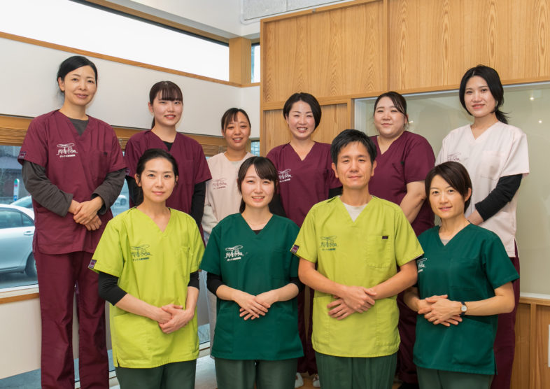 ポックル動物病院