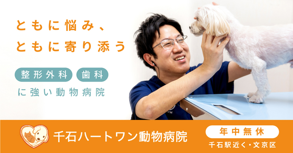 千石ハートワン動物病院