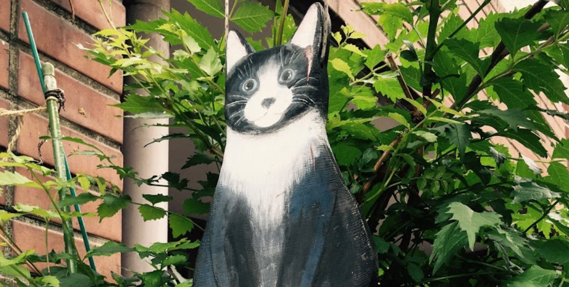 ねこの病院 代々木上原