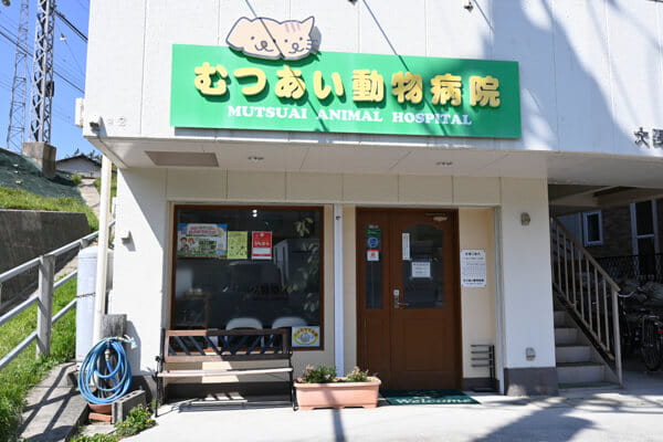 むつあい動物病院