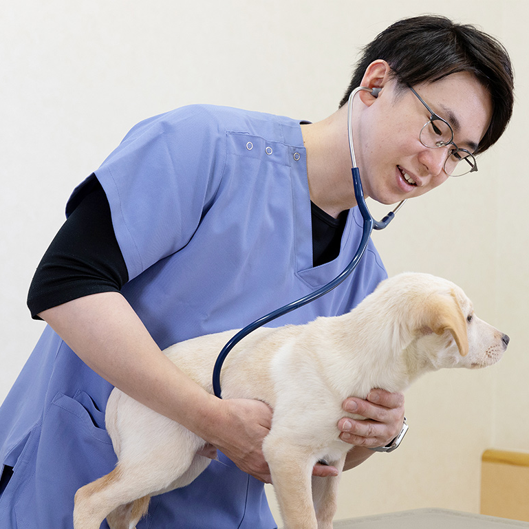 ふるやま動物病院