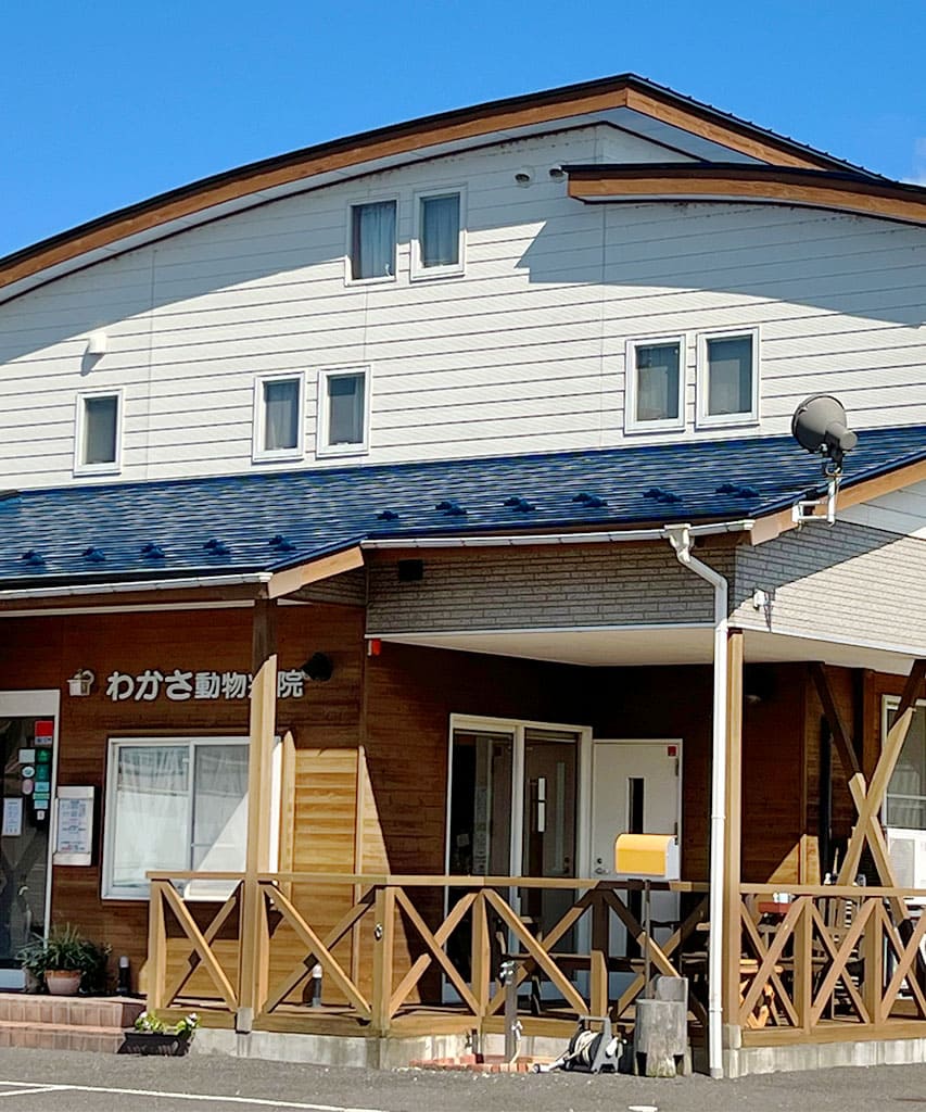 わかさ動物病院
