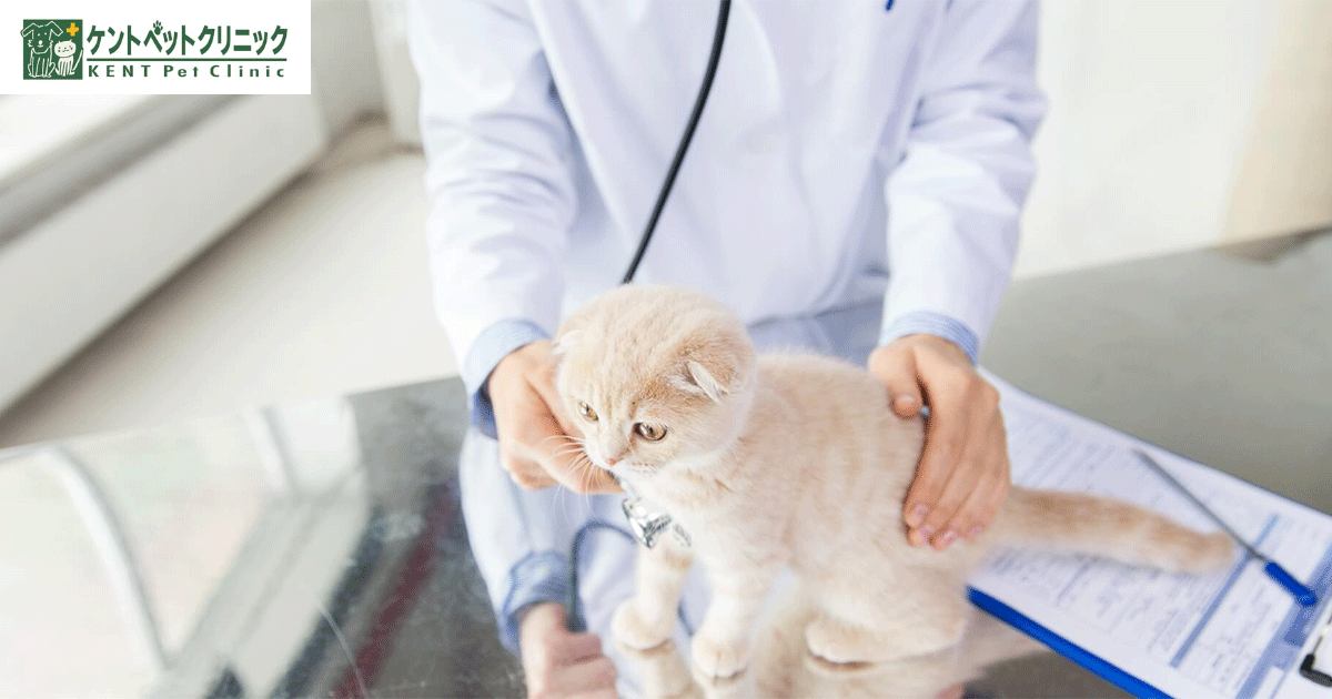ケントペットクリニック