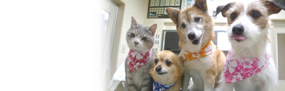 織田動物病院