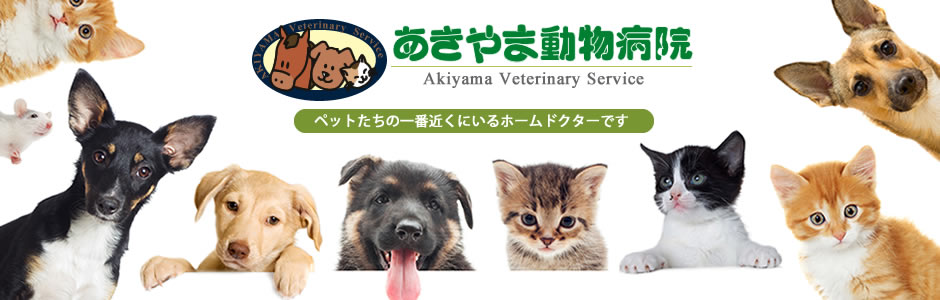 あきやま動物病院