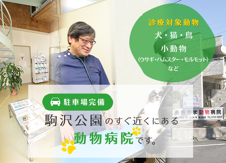 あきやま動物病院