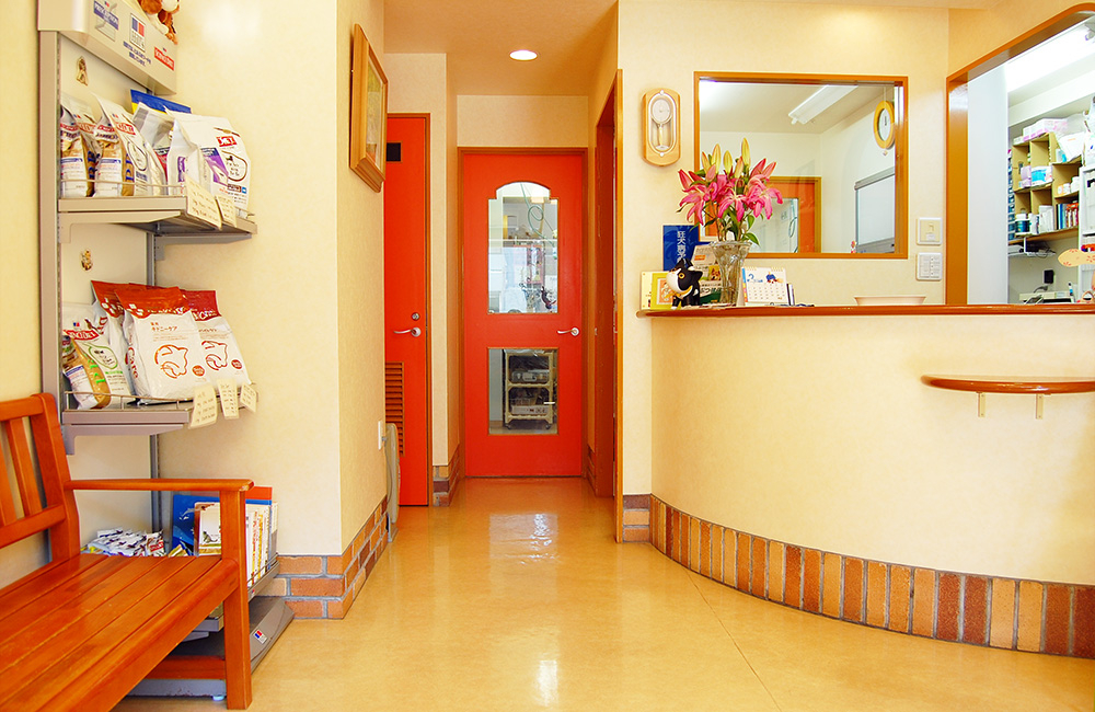 わせだ動物病院