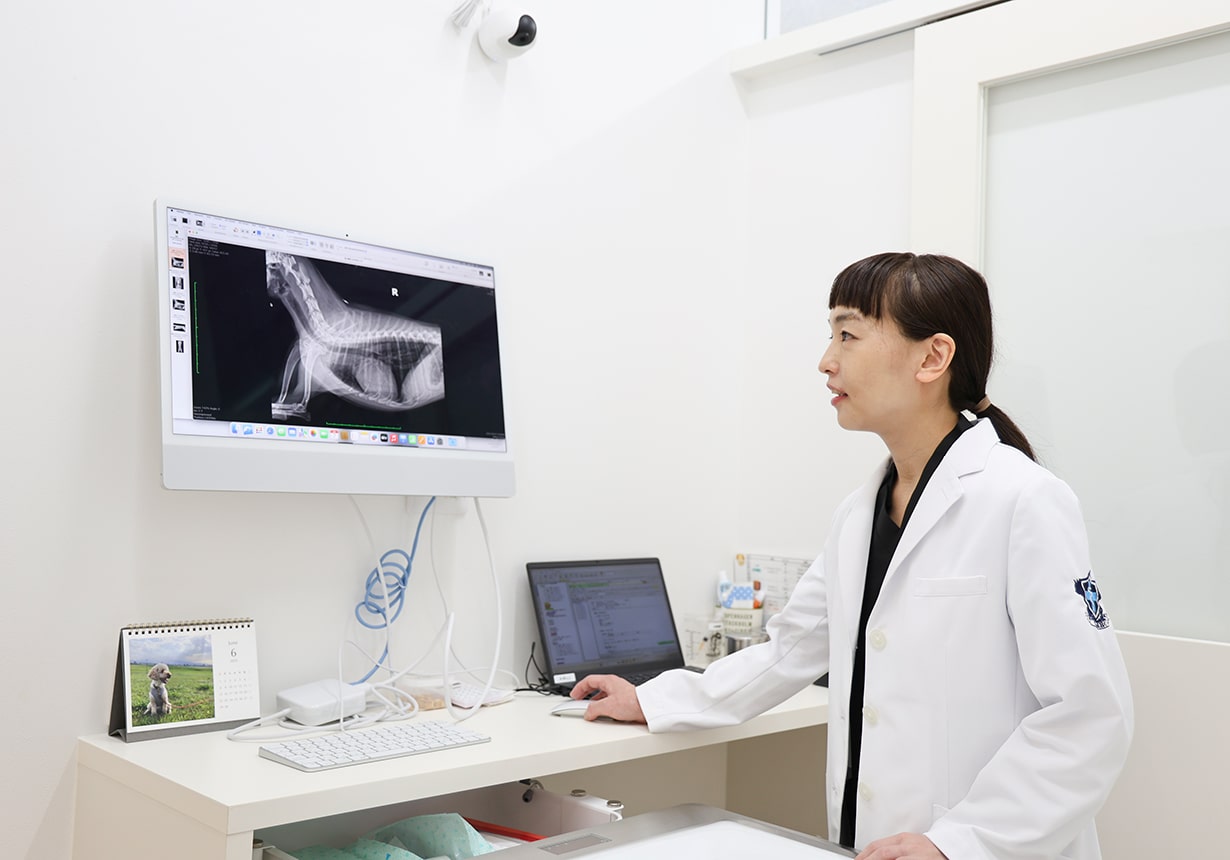 クロス動物医療センター八潮【トリミングサロンブルーム八潮併設】