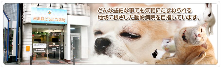 南池袋どうぶつ病院