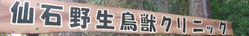 仙石原野生鳥獣クリニック