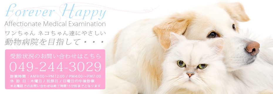 武蔵野動物愛護病院