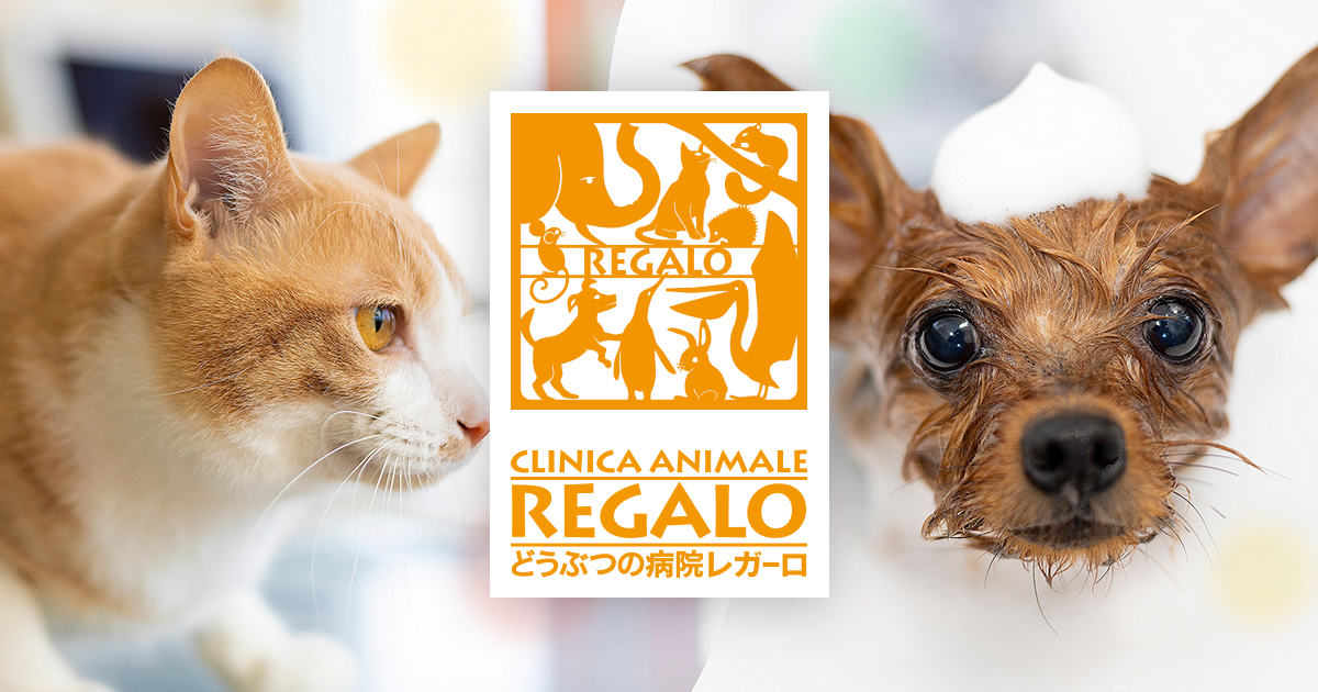 どうぶつの病院レガーロ