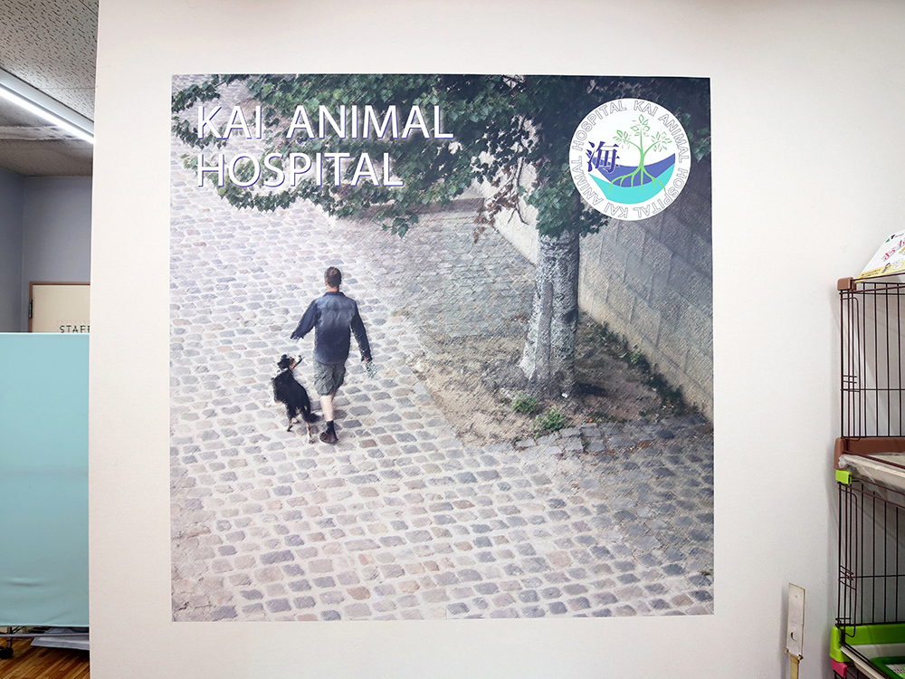 海動物病院　八王子西往診所