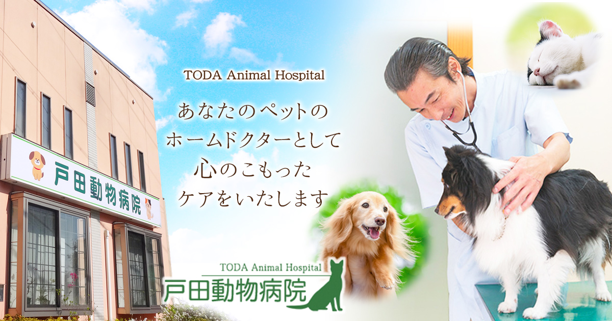 戸田動物病院