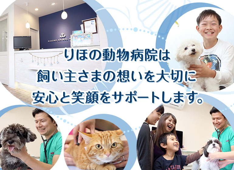 りほの動物病院