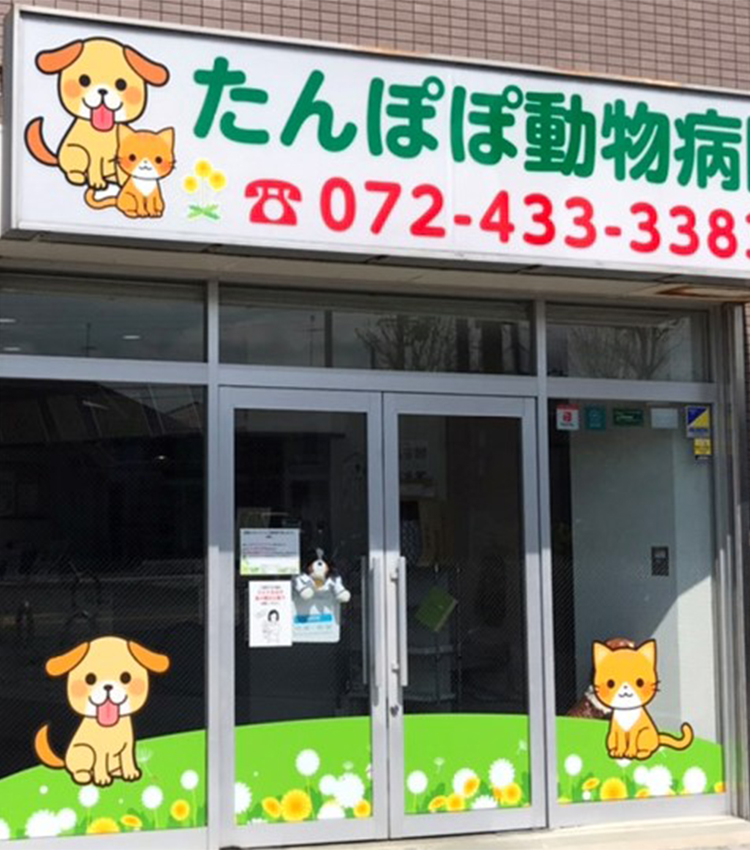 たんぽぽ動物病院