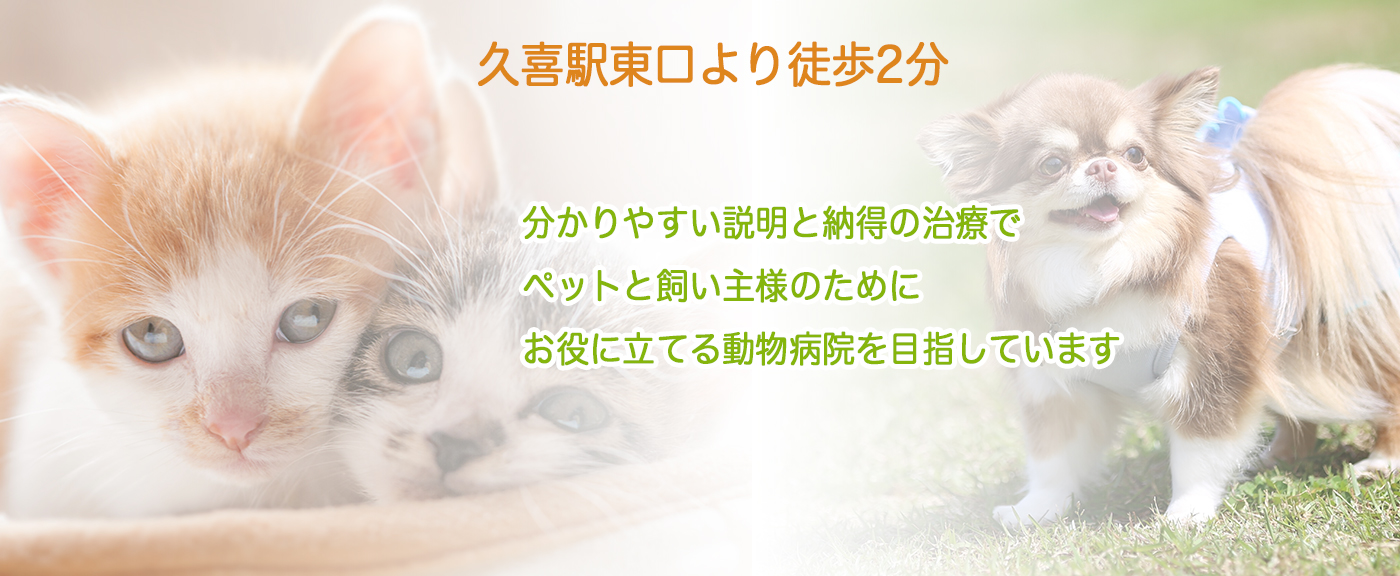 シロー動物病院