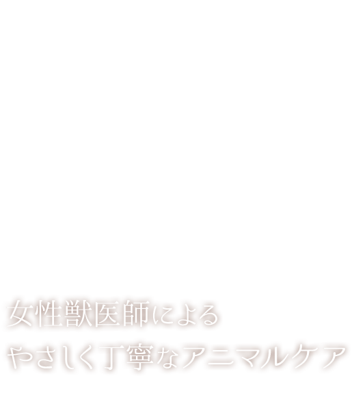 タビー動物病院