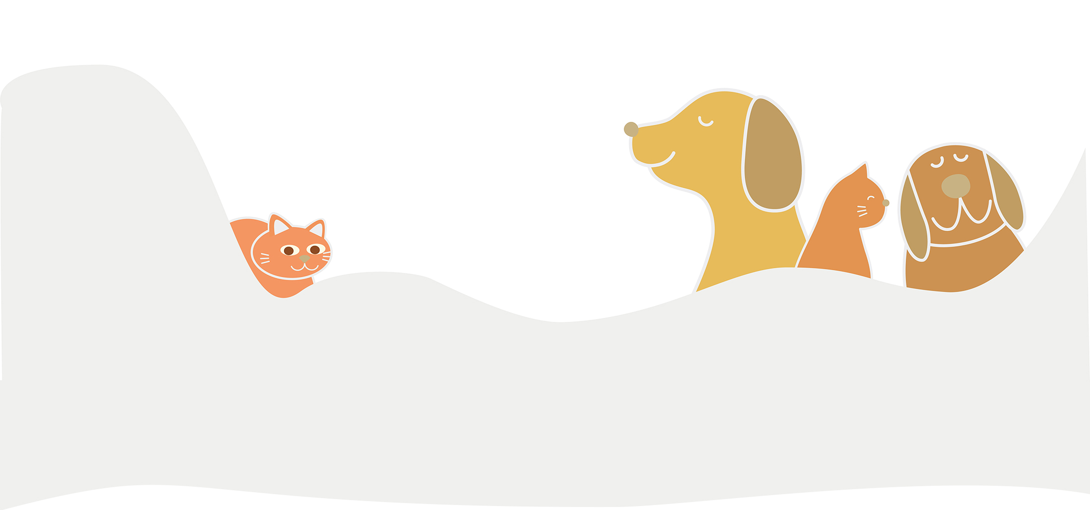 つるせペットクリニック