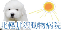 北軽井沢動物病院