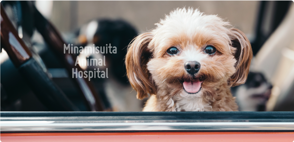 南吹田動物病院