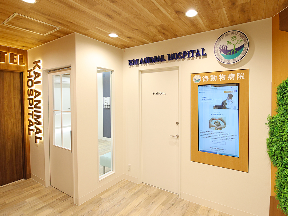 海動物病院　岐南往診所