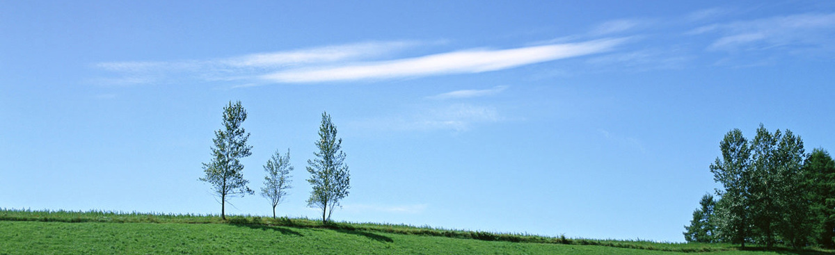 北の杜動物病院