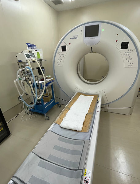 ワールド動物病院