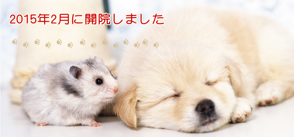 うめさと動物病院