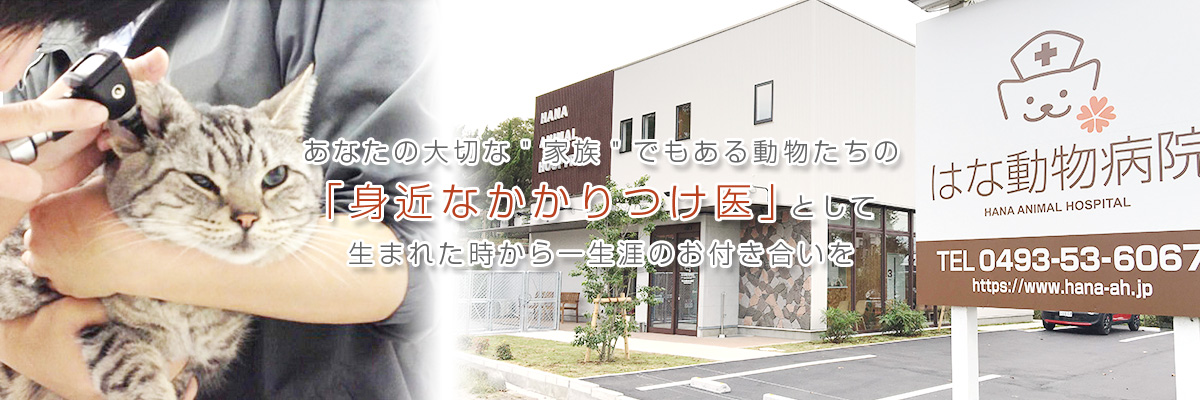 はな動物病院