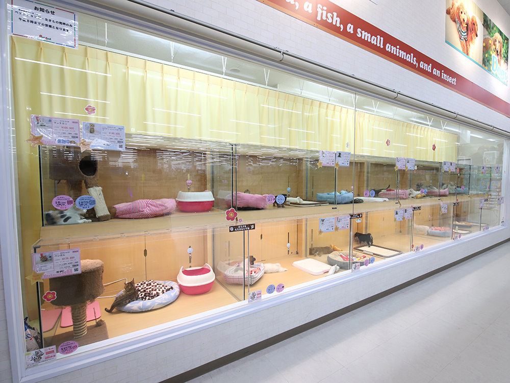 海動物病院　コメリパワー旭往診所