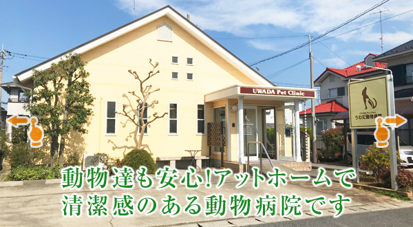 うわだ動物病院