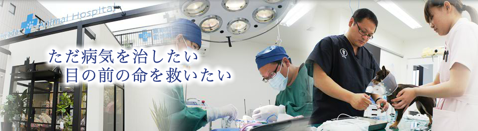 東岸和田動物病院