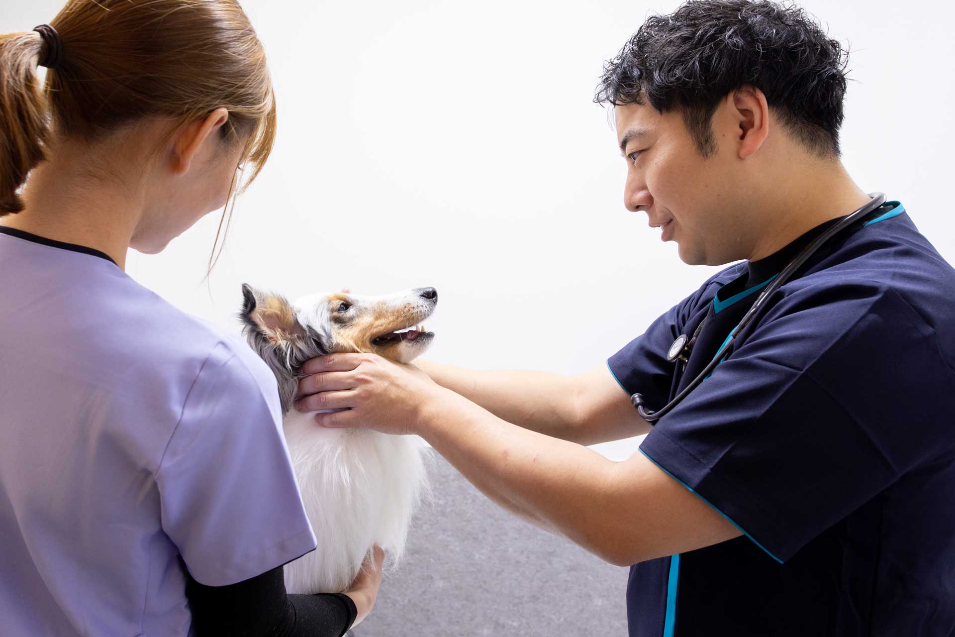 警固ペットクリニック